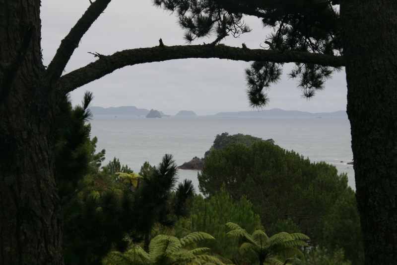 Nieuw-Zeeland 2011 - 0456